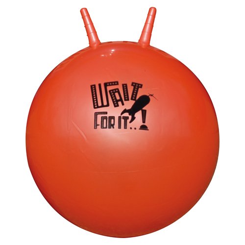 Tampo Printed Space Hopper